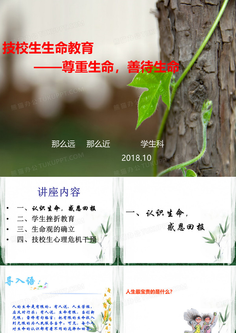 尊重生命,善待生命 ppt课件