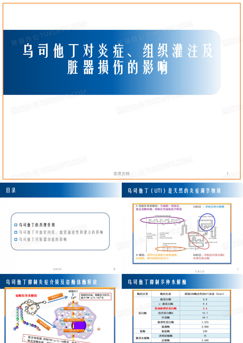 乌司他丁对炎症组织灌注及脏器损伤的影响ppt课件
