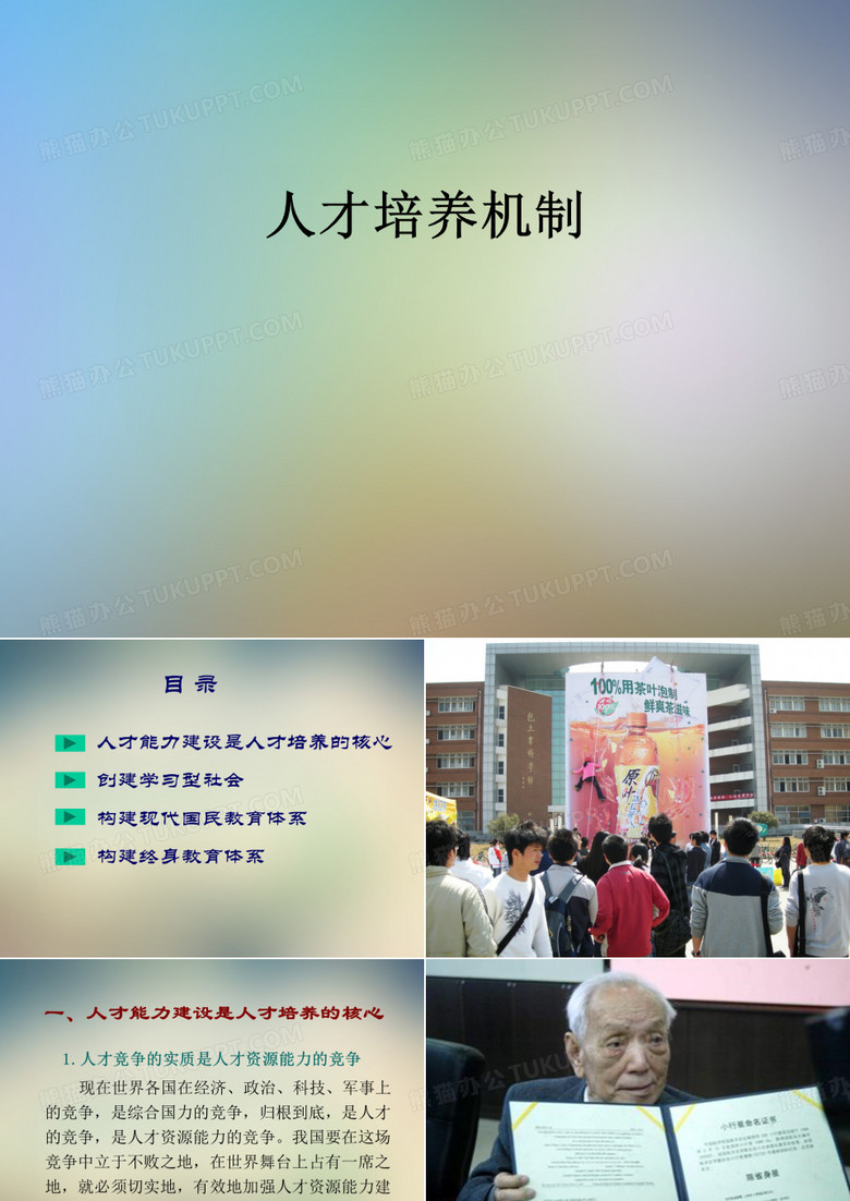 人才培养机制