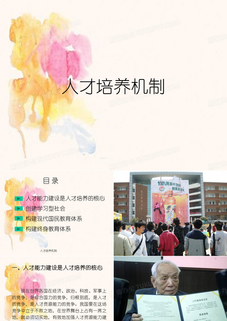 人才培养机制