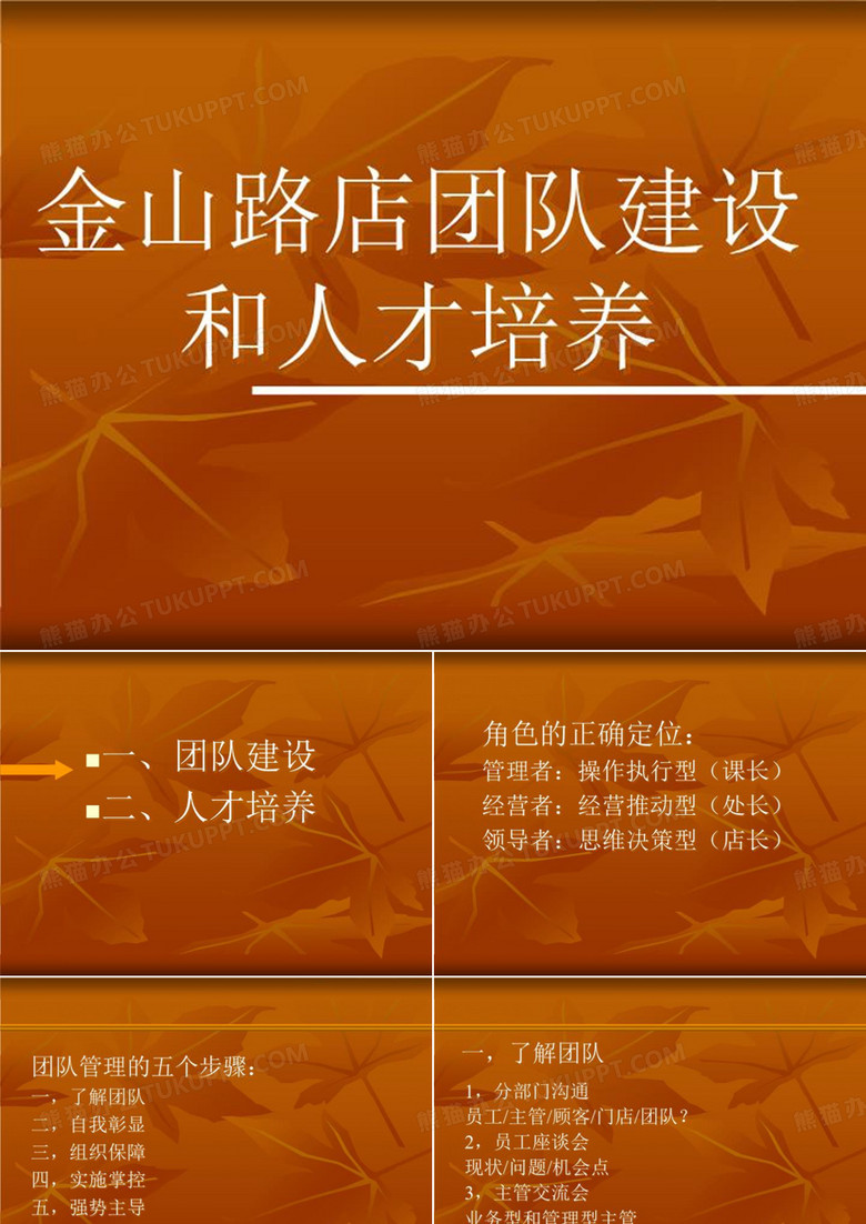 团队建设和人才培养(精选)