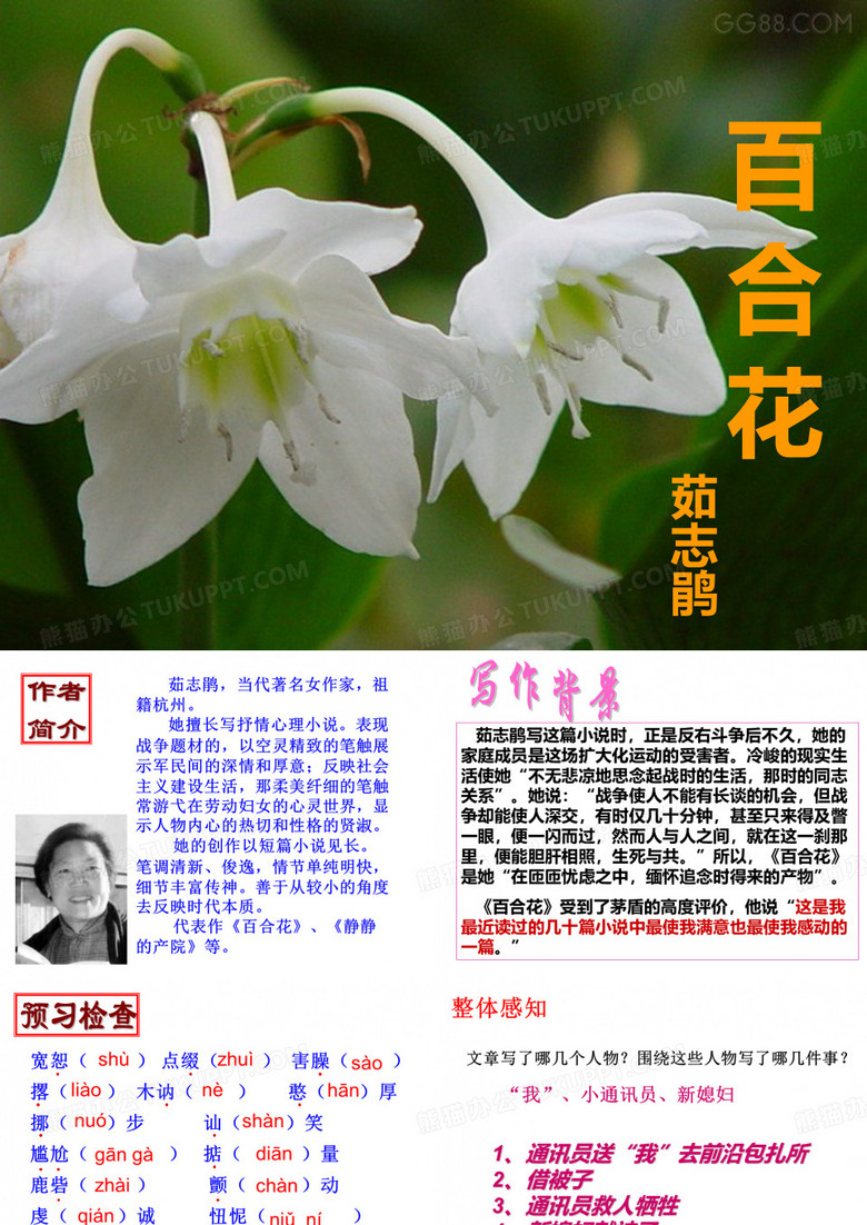 《百合花》