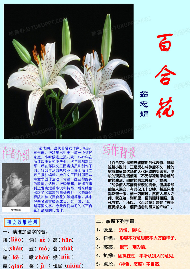 《百合花》