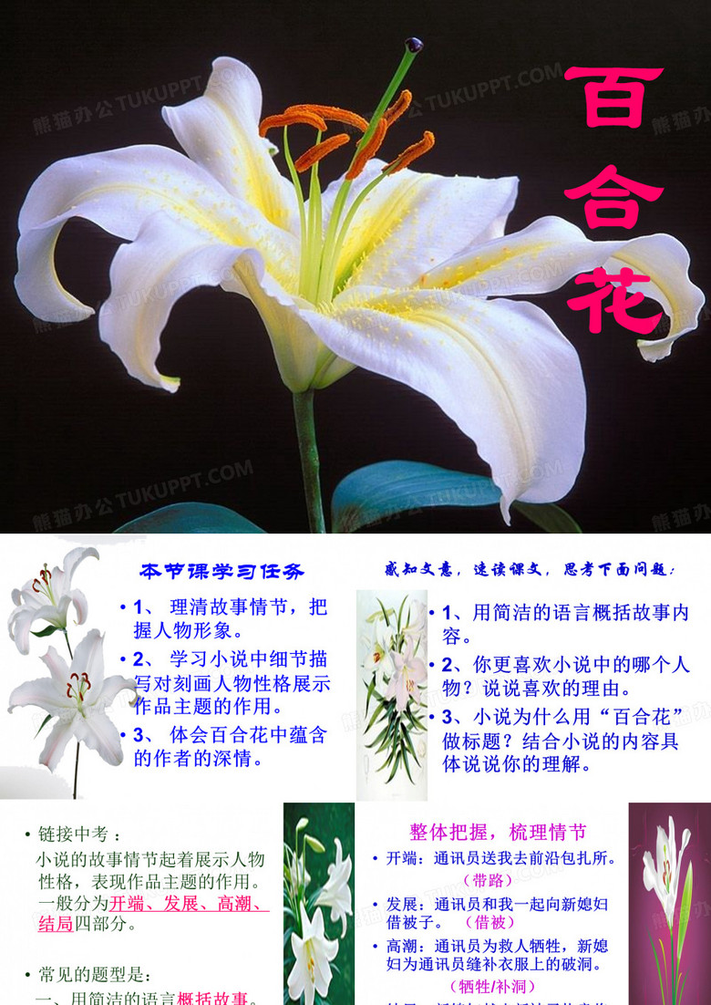 百合花