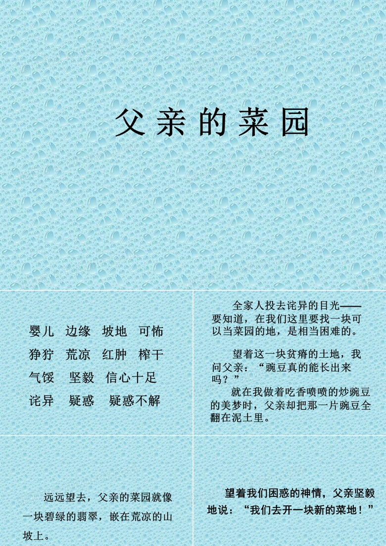 《父亲的菜园》