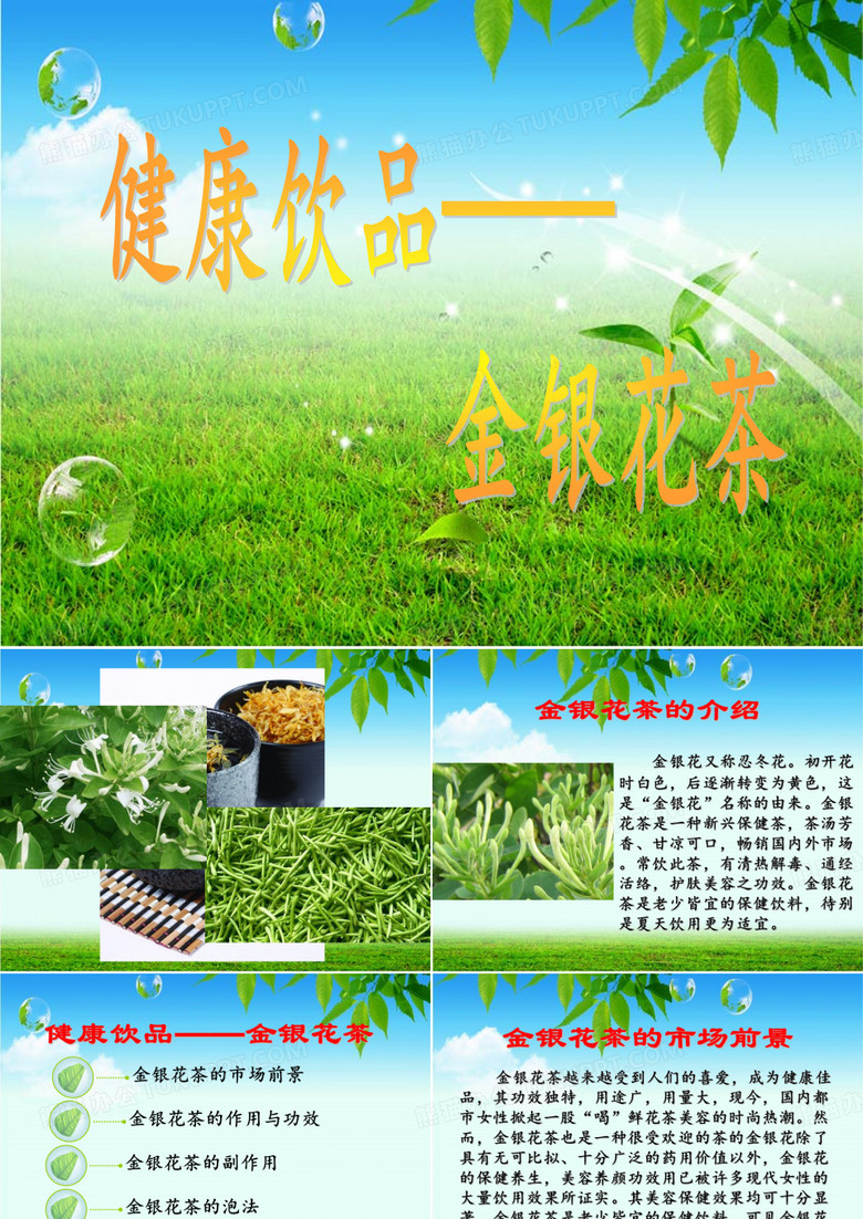 金银花介绍