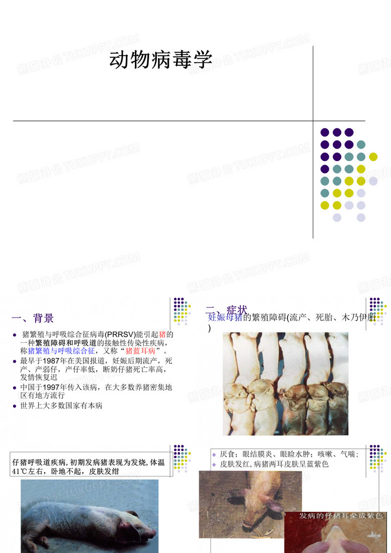 [医学]动物病毒学