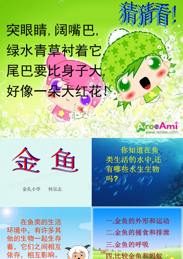 金鱼课件