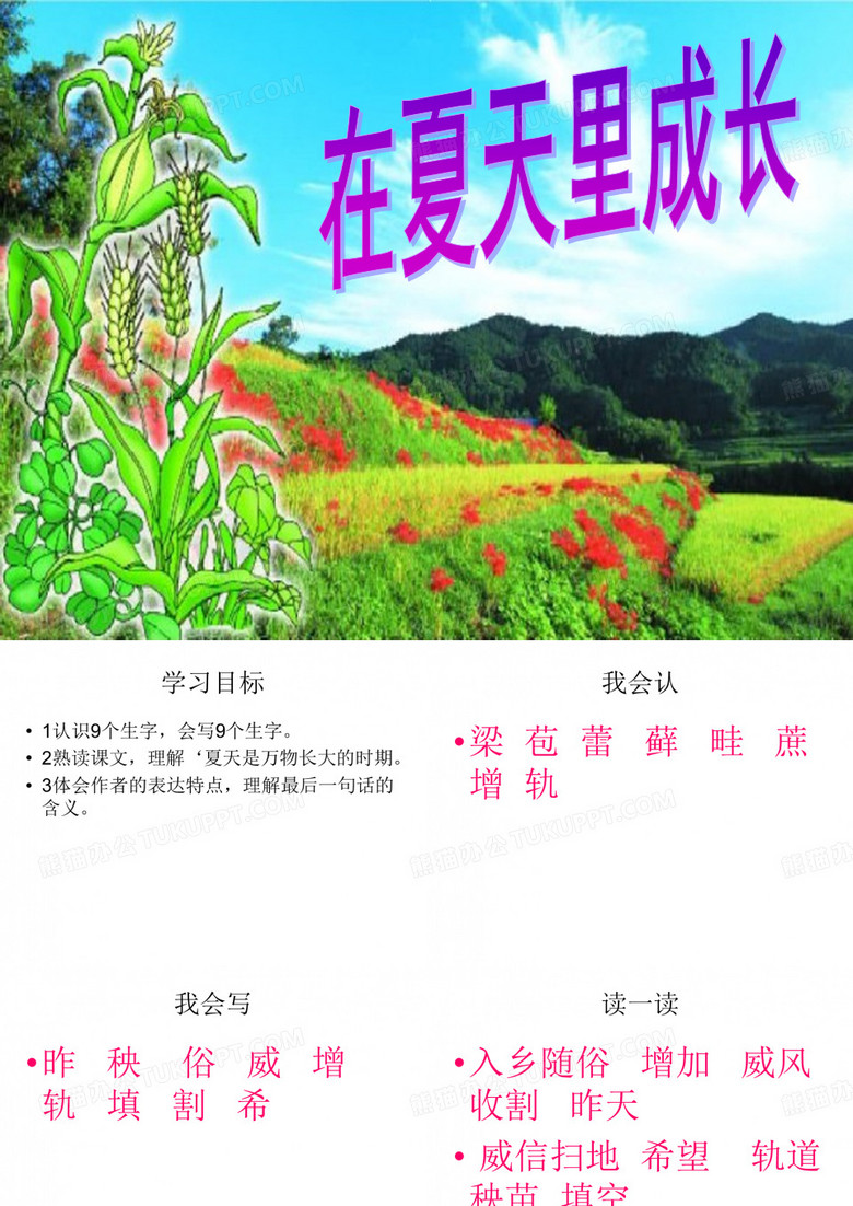 在夏天里成长
