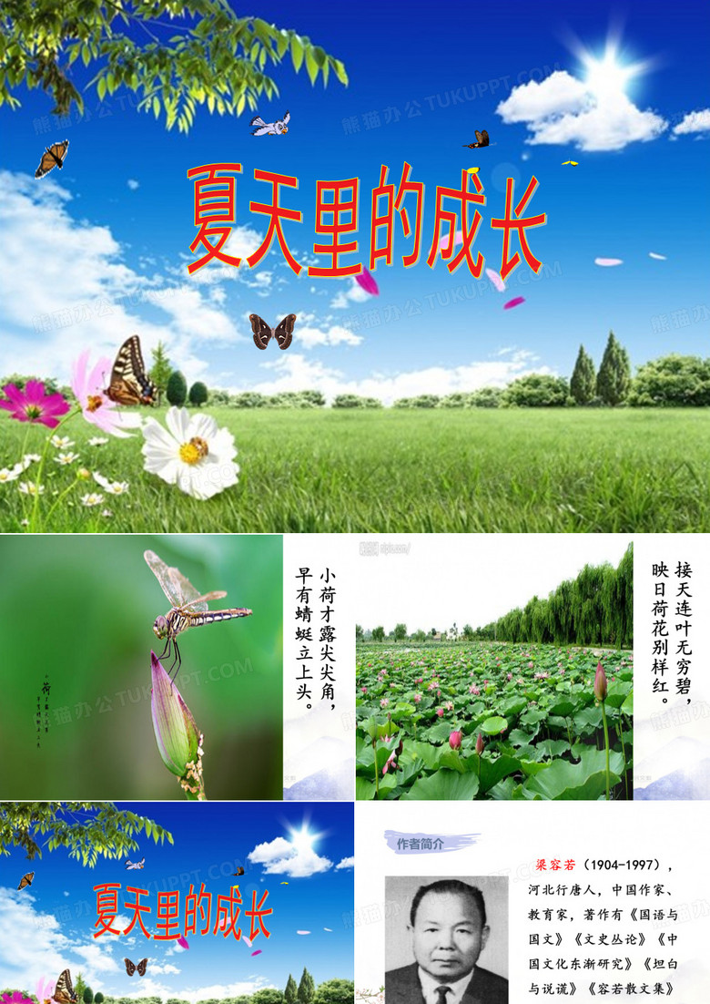 夏天里的成长