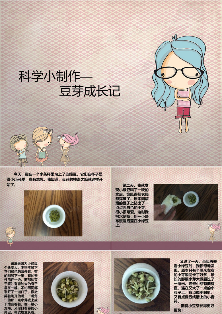 豆芽成长记