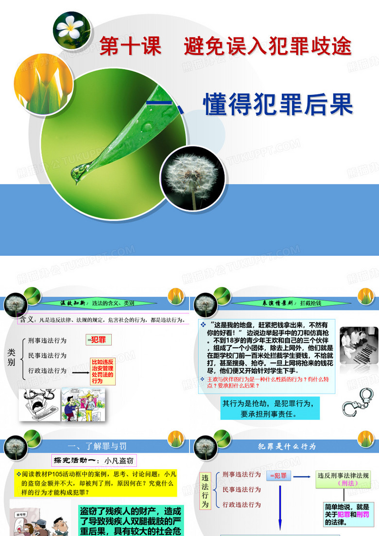 职业道德与法律第十课避免误入犯罪歧途
