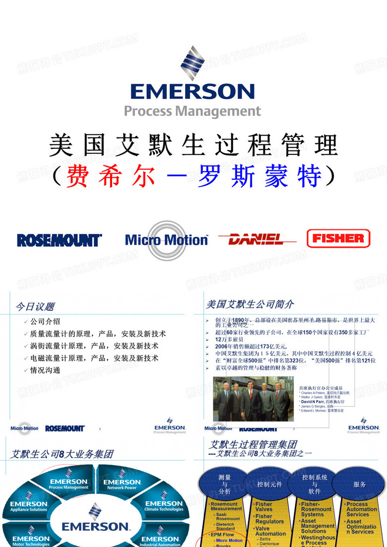 质量流量计分析