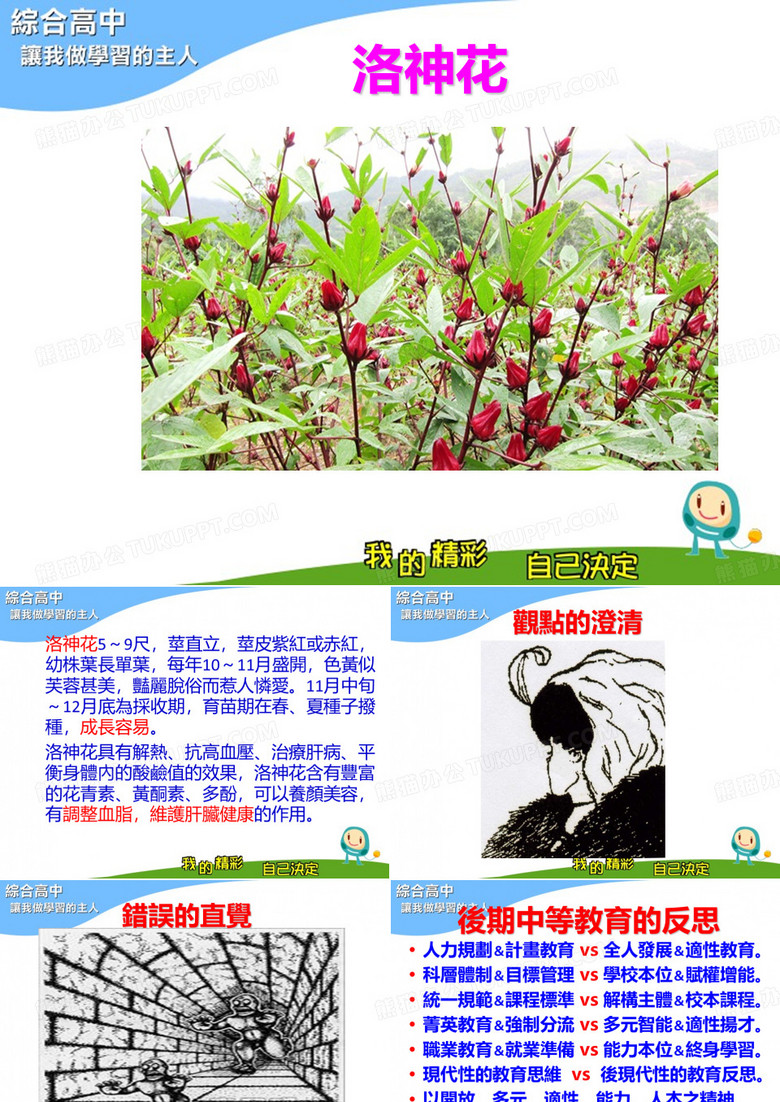 校长校务会议简报