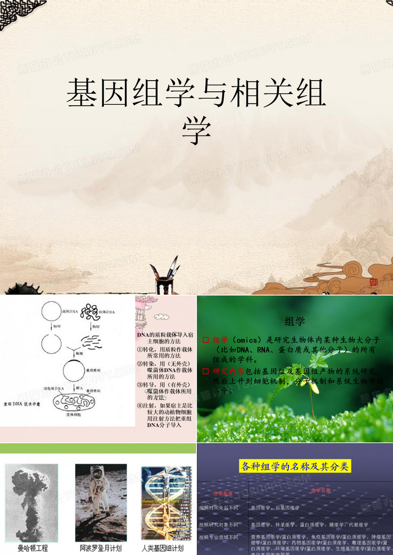 基因组学与相关组学