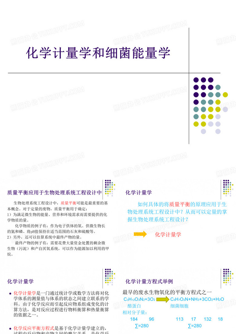 化学计量学和细菌能量学