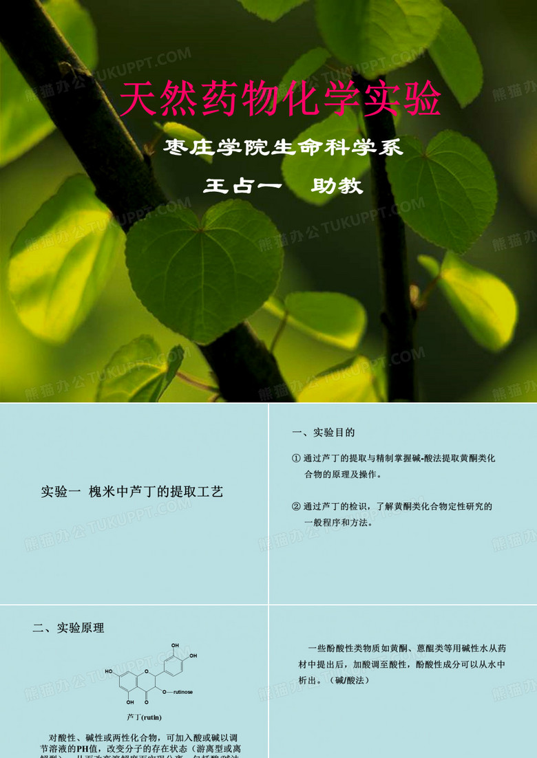 天然药物化学实验