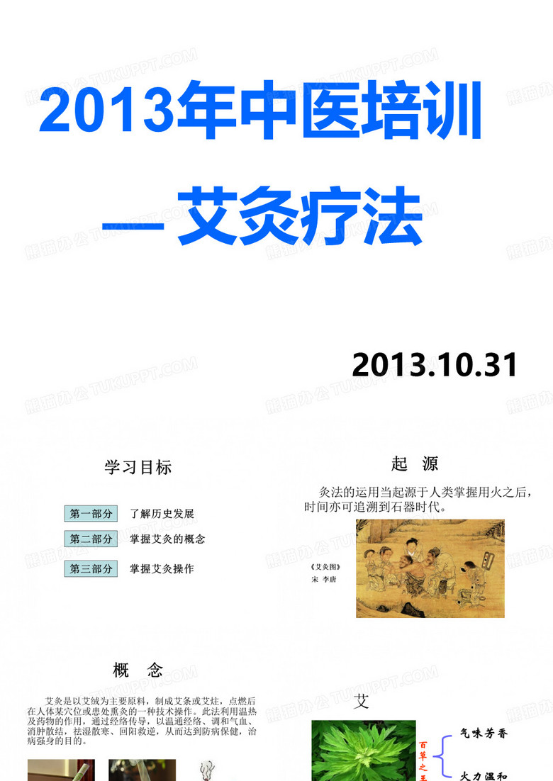 艾灸疗法(中医培训)