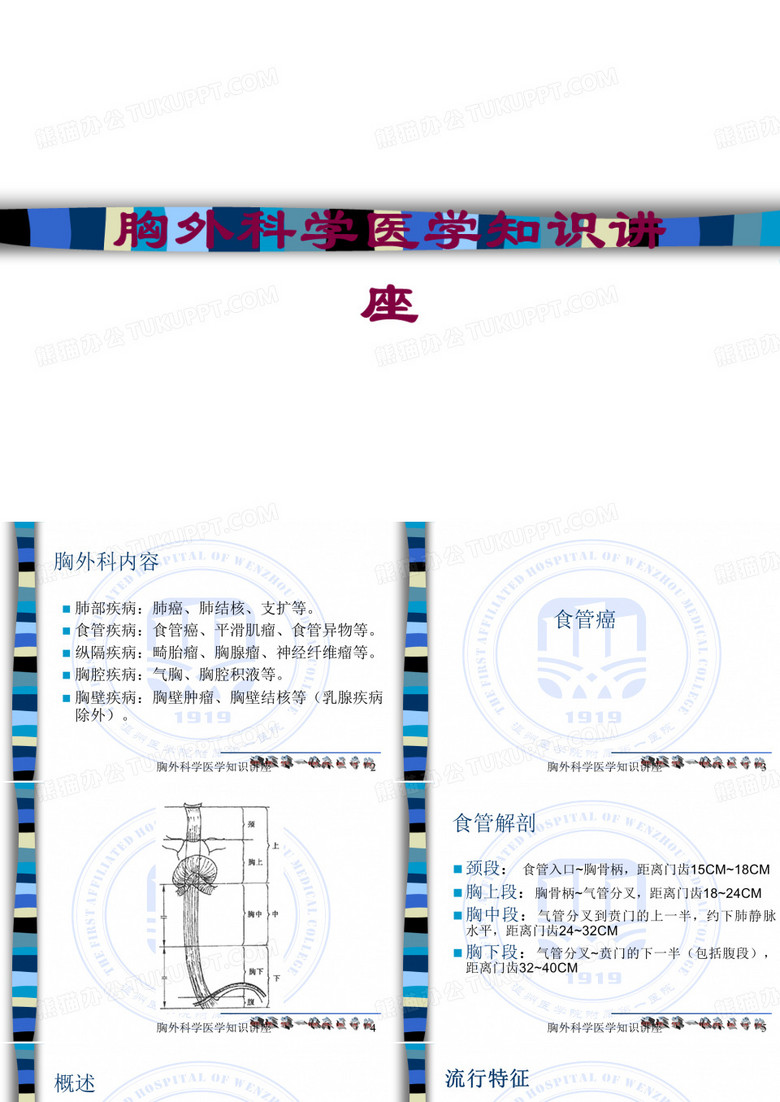 胸外科学医学知识讲座培训课件