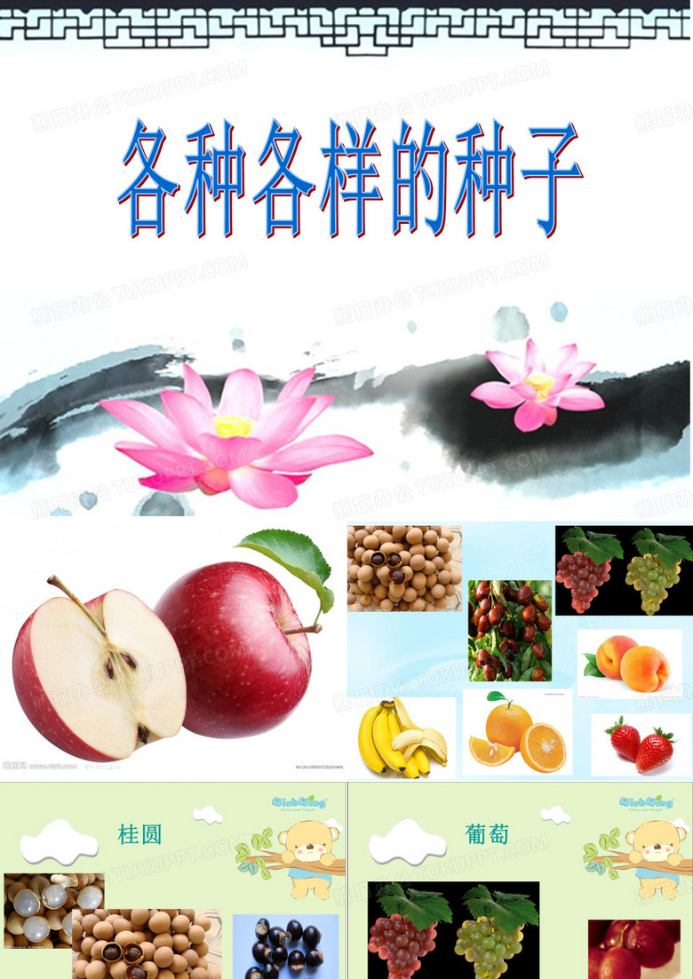 各种各样的种子