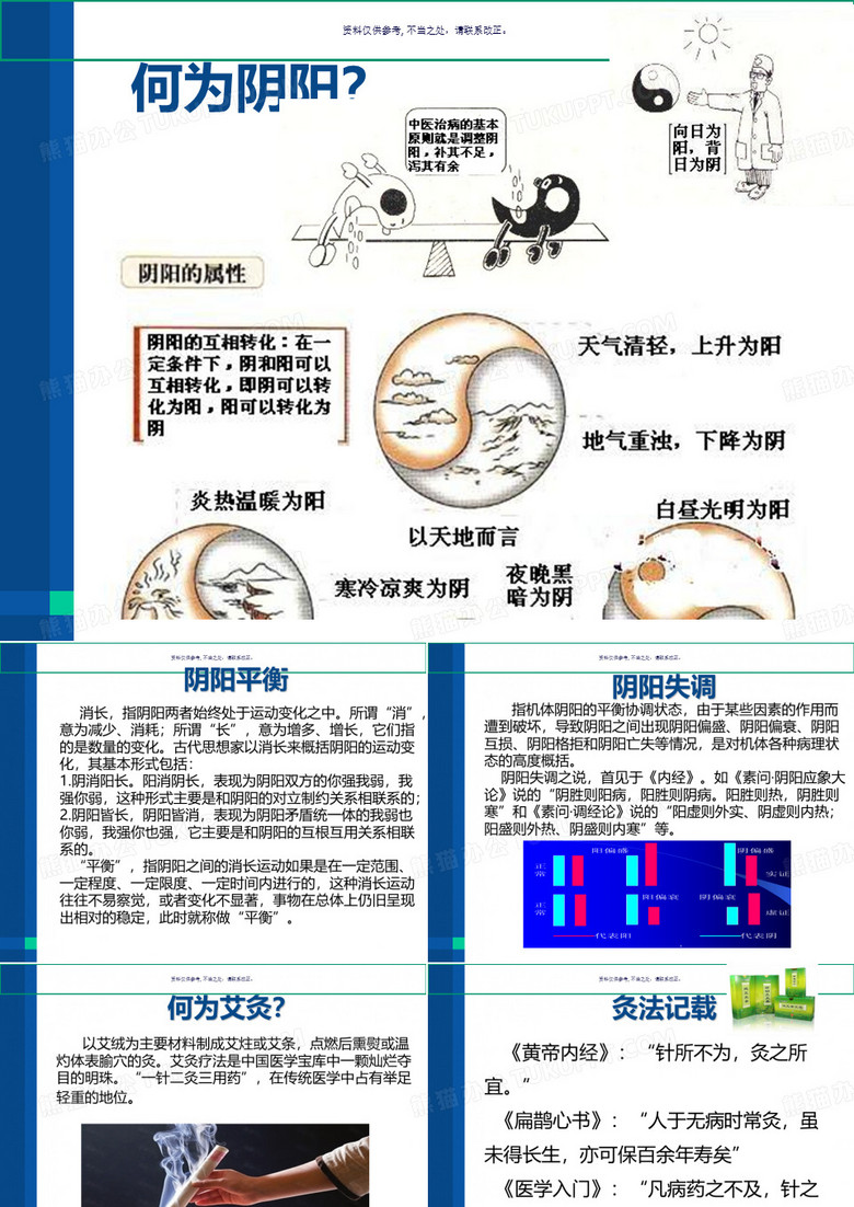 中医文化之艾灸