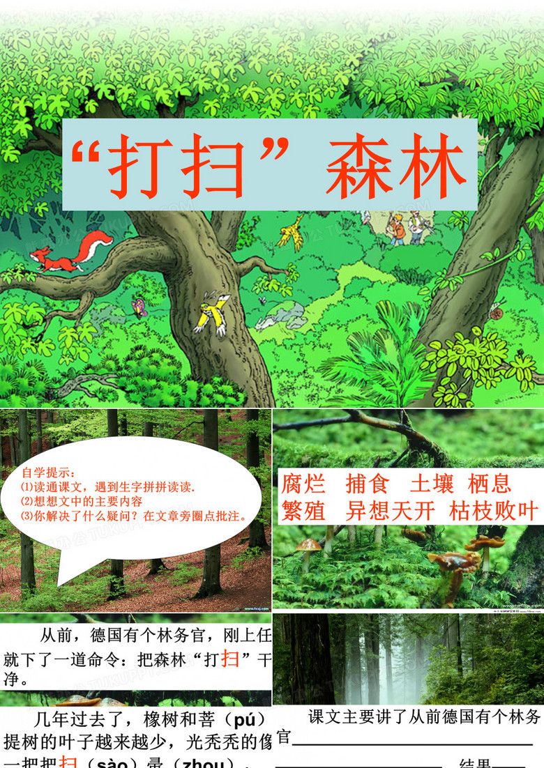 打扫森林
