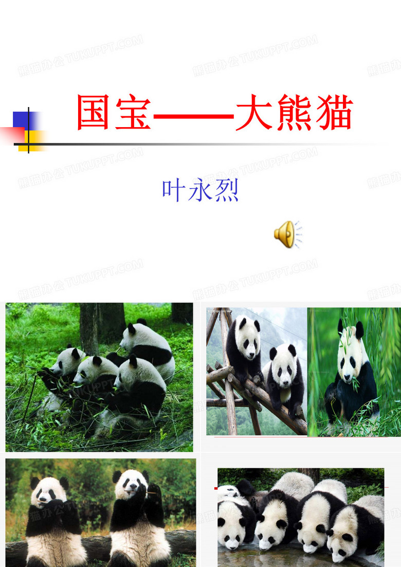 国宝——大熊猫