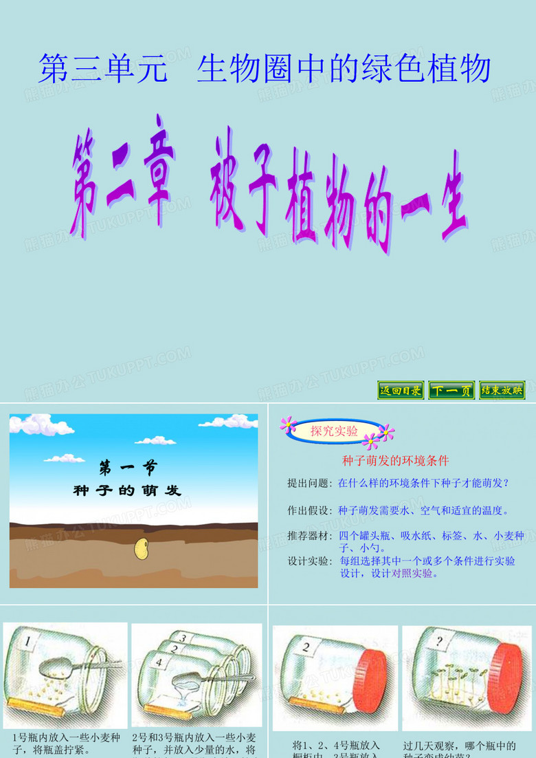 种子的萌发课件