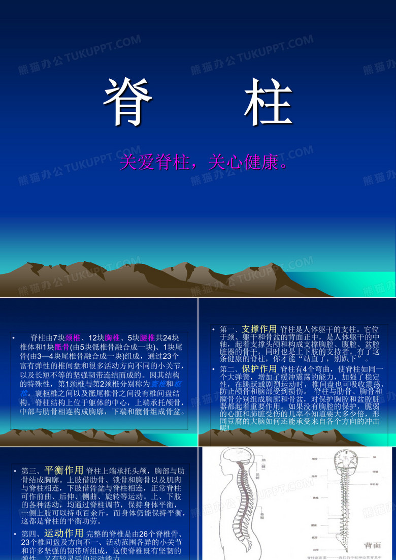 脊柱