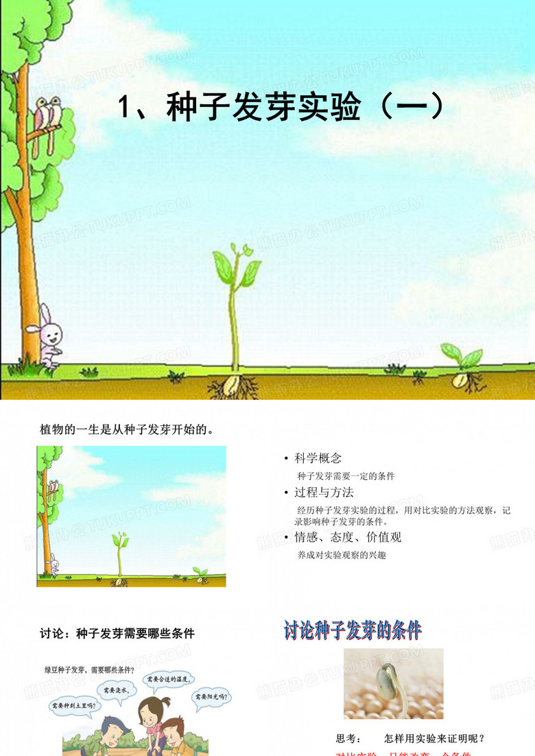种子发芽试验(一)
