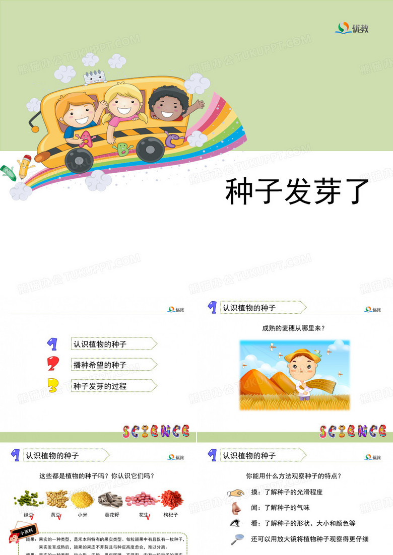 《种子发芽了》教学课件