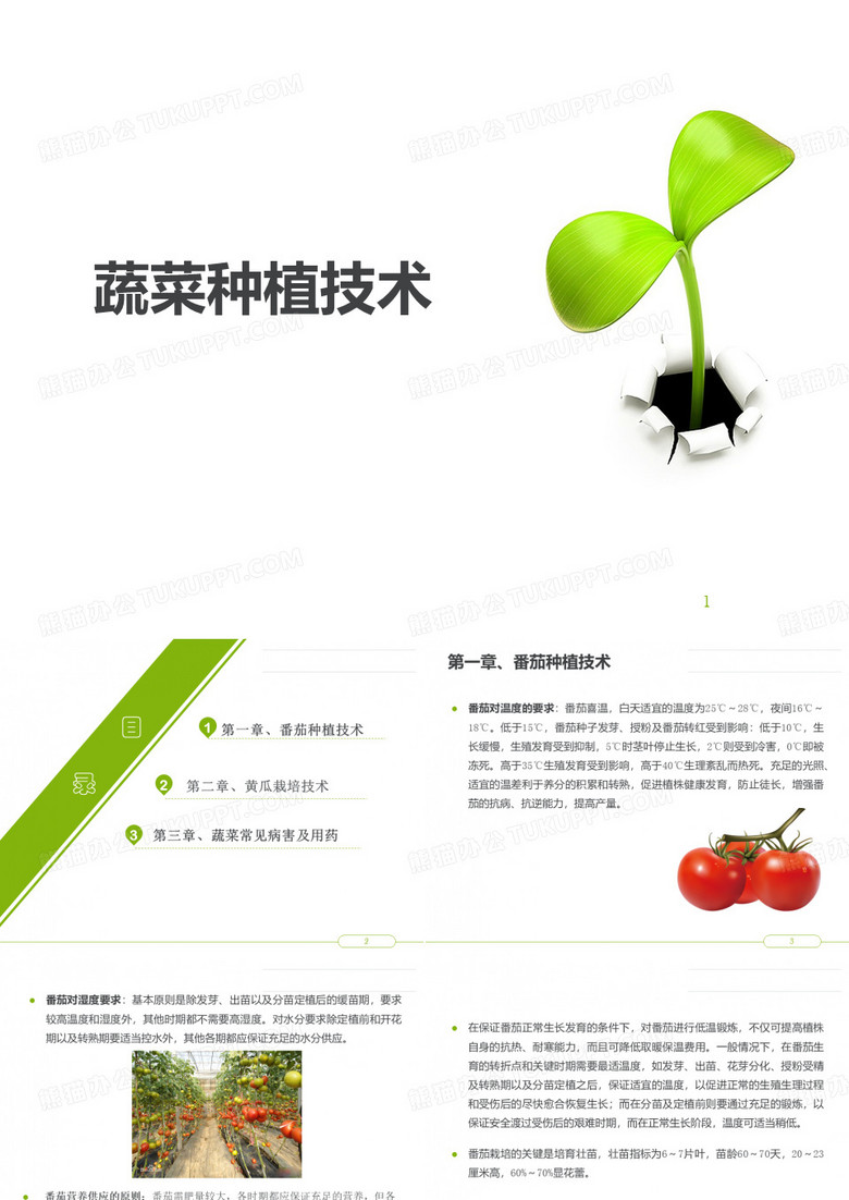蔬菜种植技术
