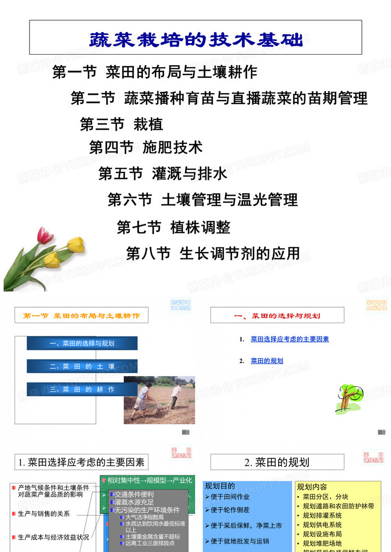蔬菜种植技术培训