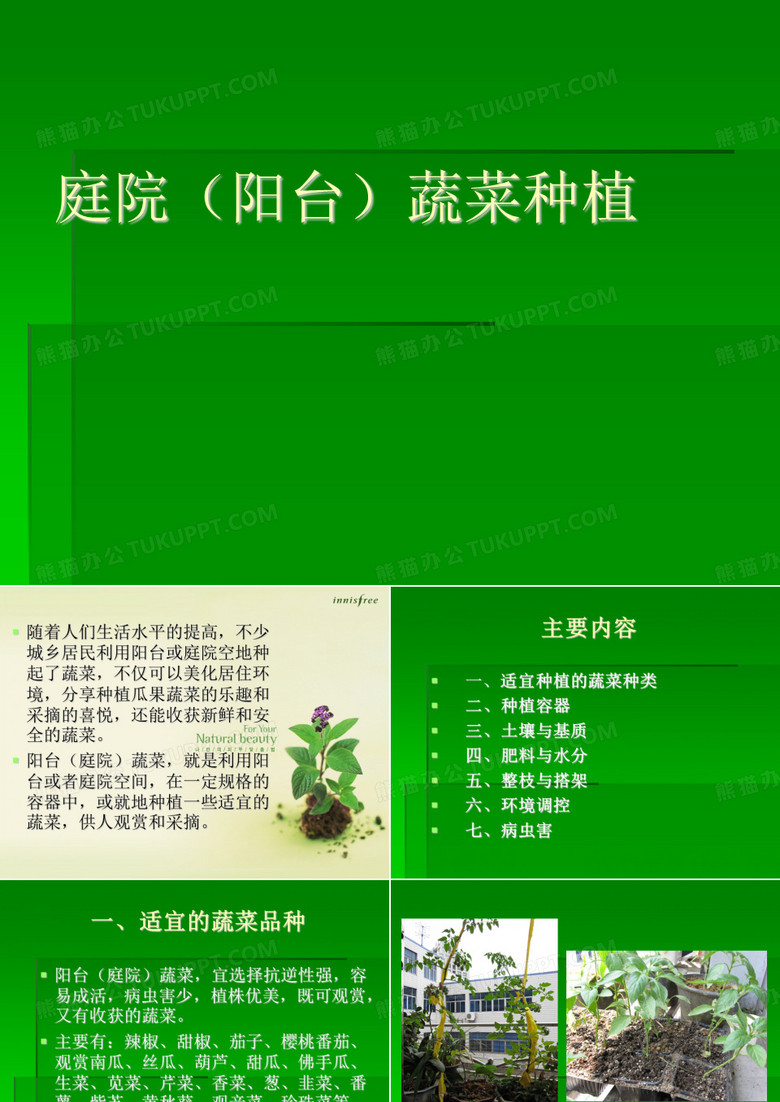 阳台(庭院)蔬菜种植