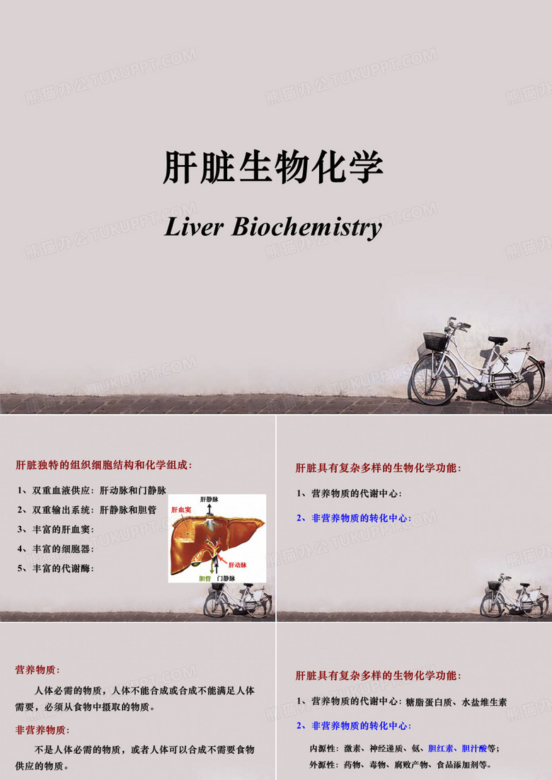 生化--肝脏生化  PPT课件