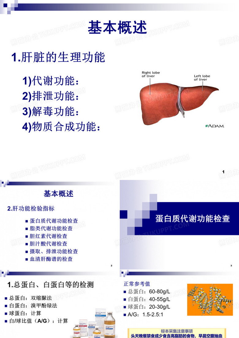 生化肝功能