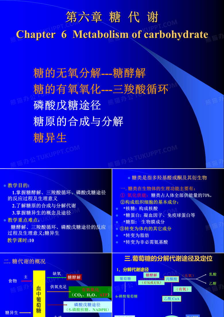 生化-糖代谢