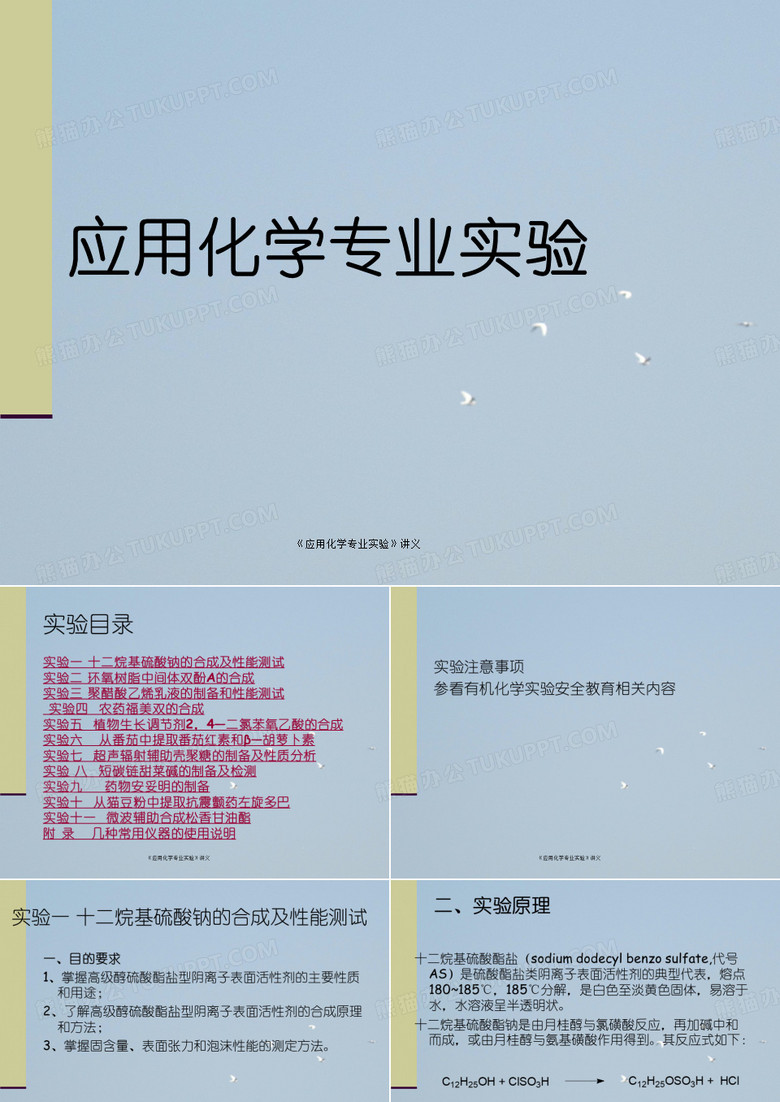 《应用化学专业实验》讲义