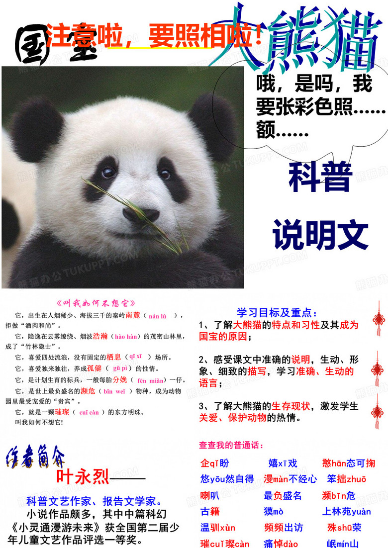 国宝大熊猫课件