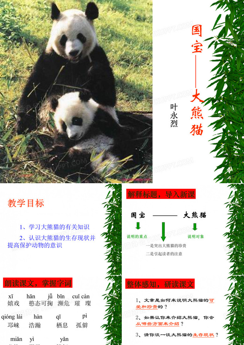 国宝大熊猫课件