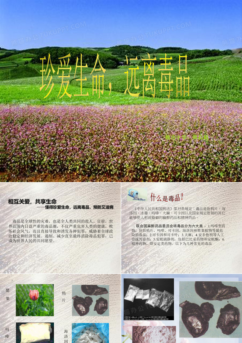 禁毒防艾课件