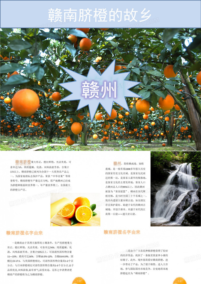 赣南脐橙的故乡——赣州