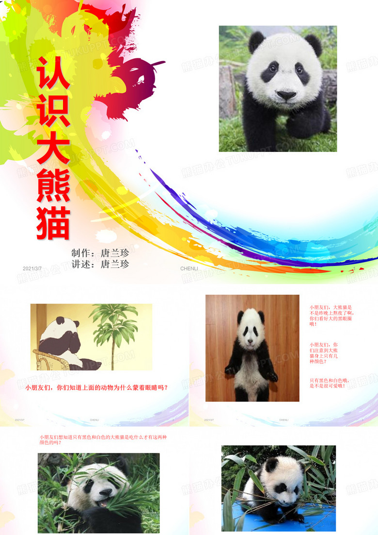 认识大熊猫课件