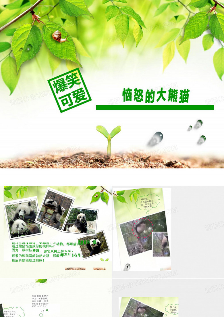 可爱大熊猫模板