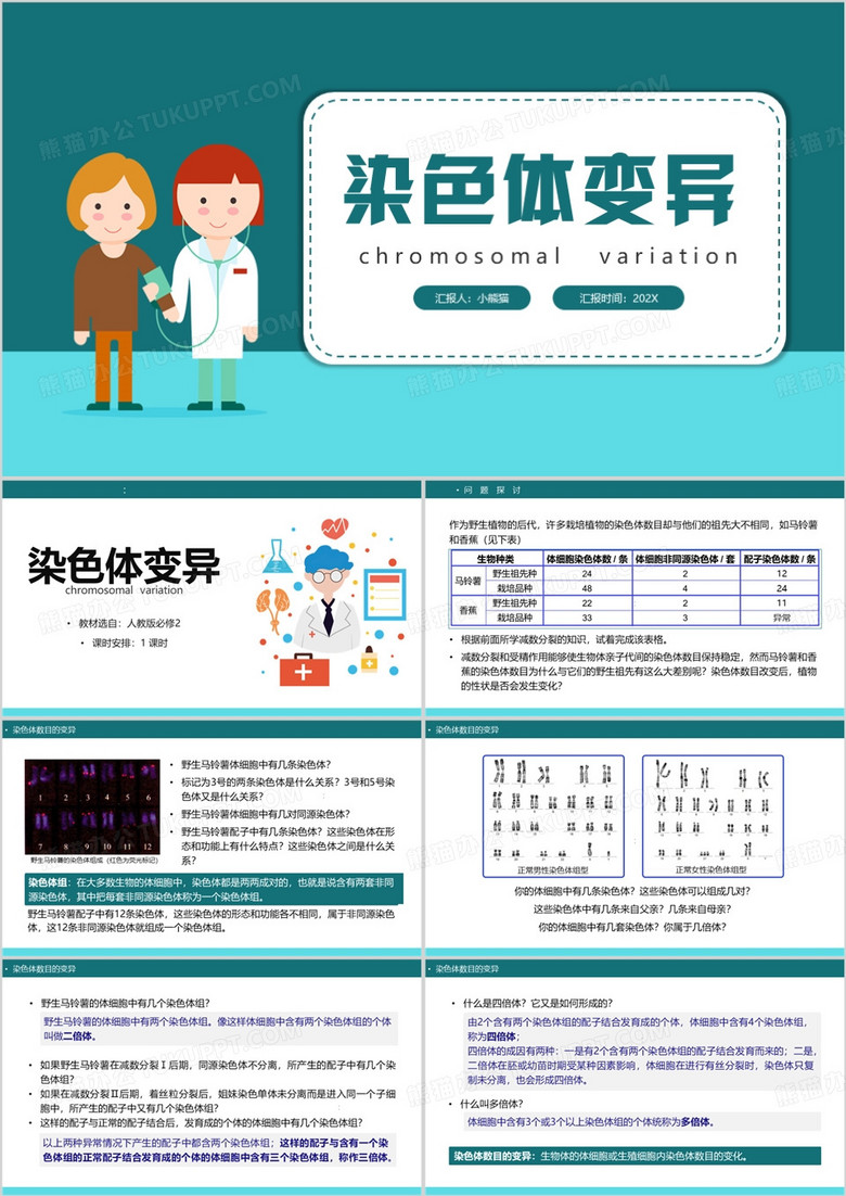 绿色简约风染色体变异PPT模板