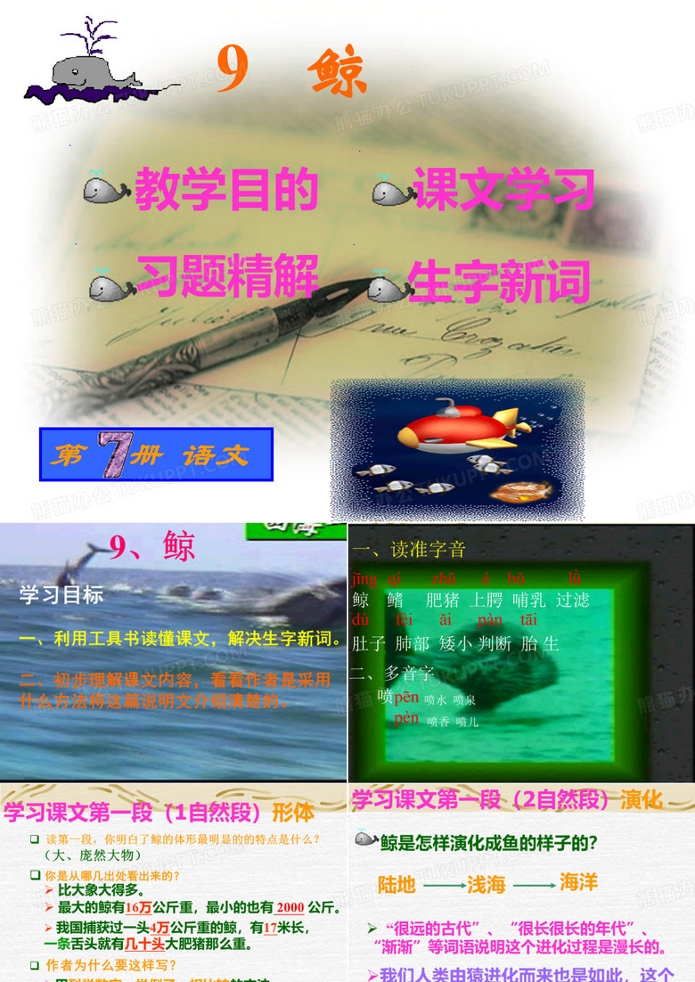 9.《鲸》PPT课件