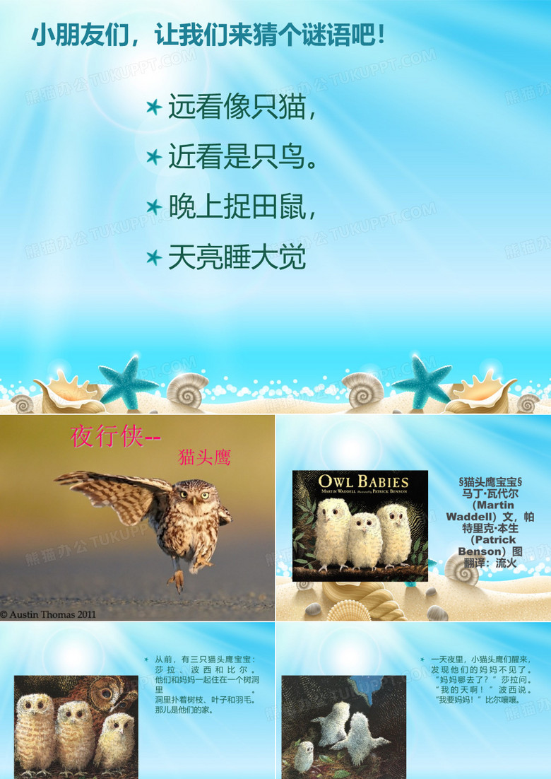 小小猫头鹰
