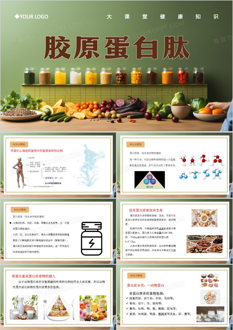 简约风胶原蛋白肽PPT模板