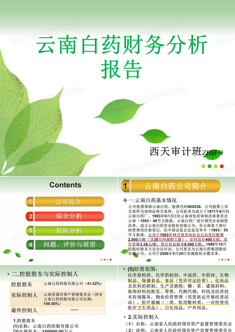 云南白药财务分析报告