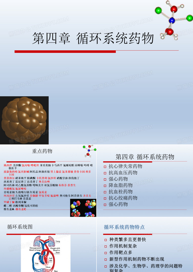 药物化学：循环系统药物